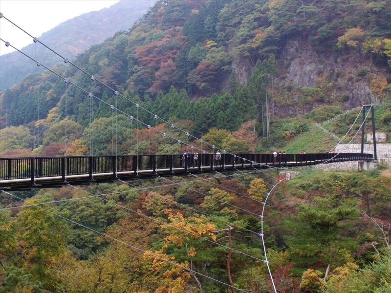 日光のおすすめ旅館は安い？3軒の旅館を紹介します！観光情報も必見！ツナグ旅