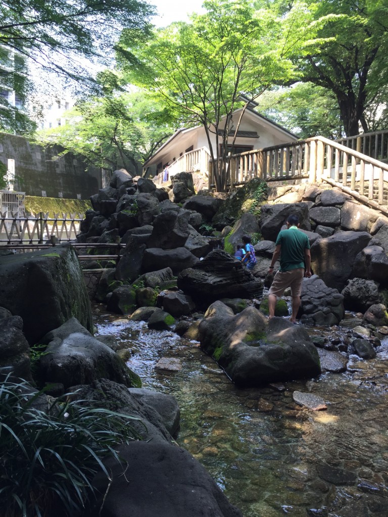 音無親水公園 アクセス・営業時間・料金情報 -