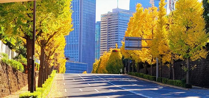 大名屋敷が並ぶ青山を歩く - あの町この街あるこうよ