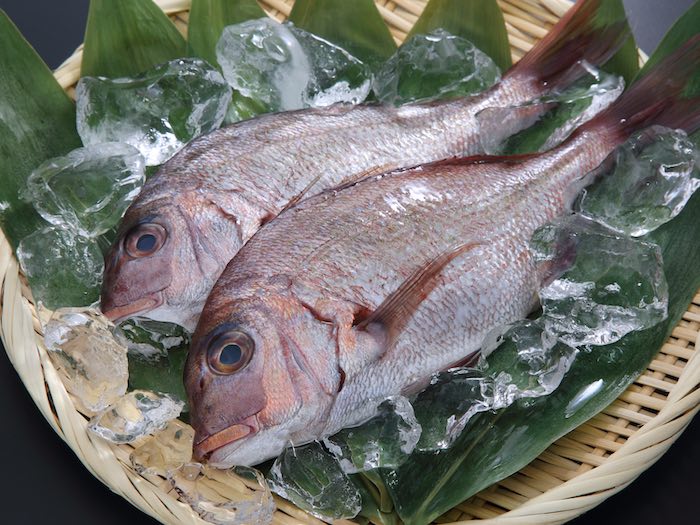 不思議な鯛の鯛 鯛中鯛株式会社徳島大水魚市四国 鮮魚 冷凍食材