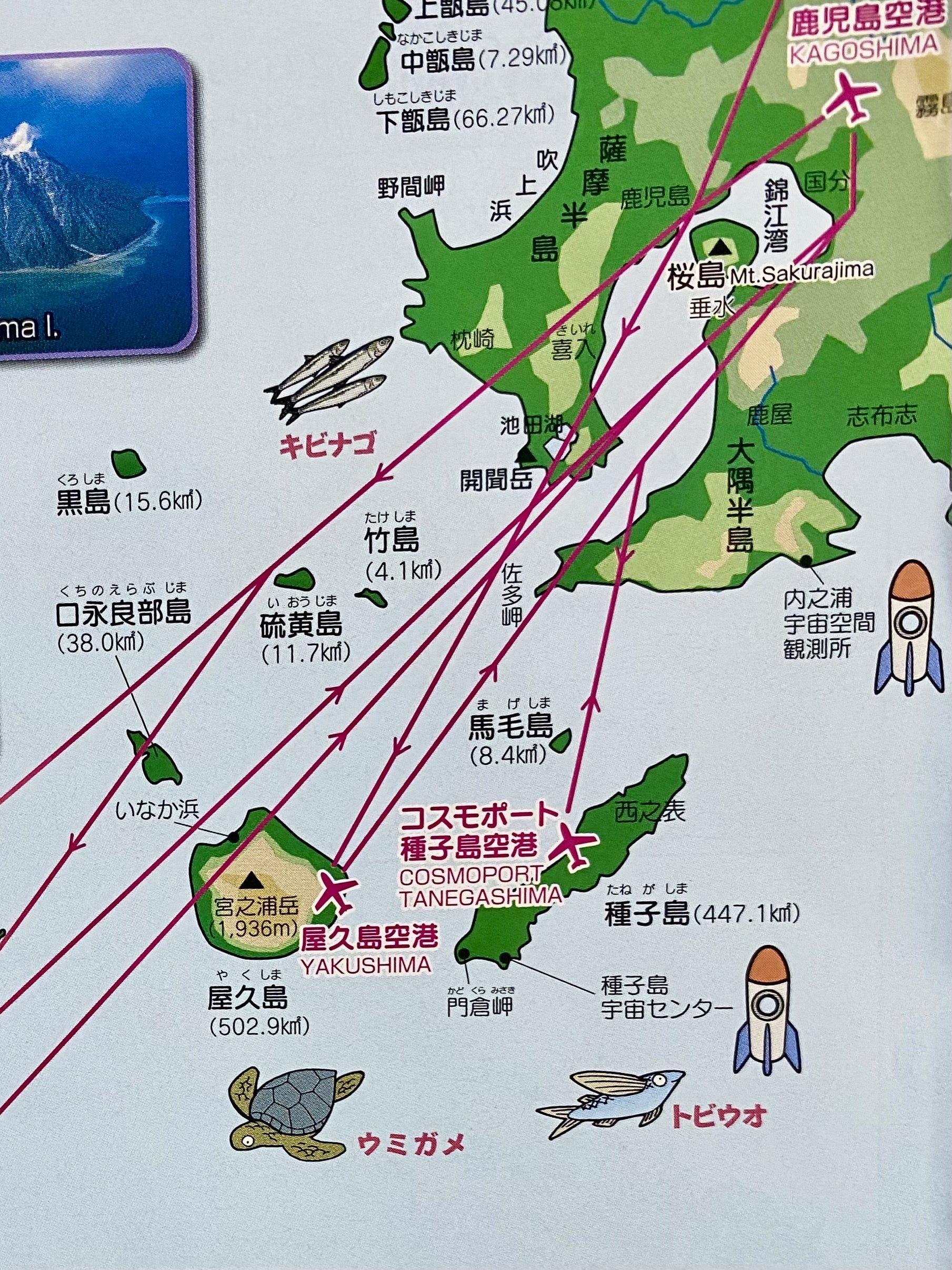 屋久島への行き方・交通手段 最安・最速ルート – 屋久島パーソナルエコツア