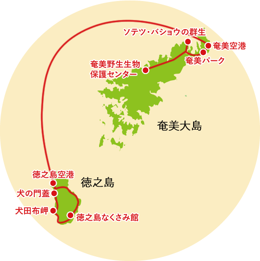 奄美パーク：奄美大島：大島海峡