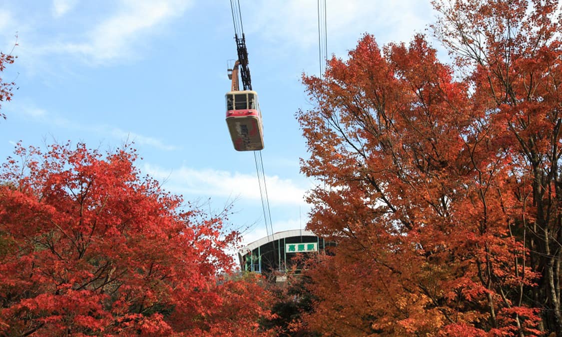 ロープウェイ乗り場 – 鶴見岳の観光ガイド360@旅行ナビ