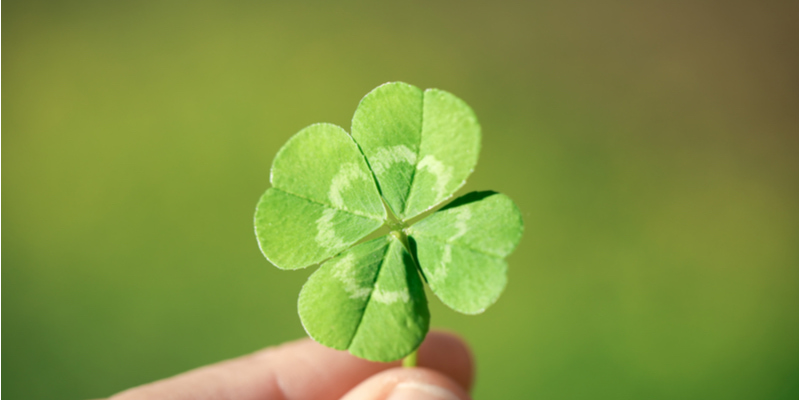 楽天市場 四葉のクローバーマーク 身体障害者標識 マジカルタイプ2枚入り 国際シンボル