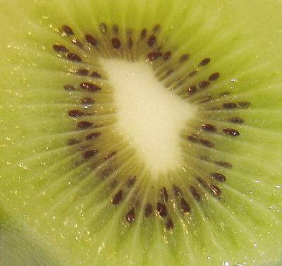 ニュージーランドってどんな国？ ニュージーランドの食文化の日本との違い5選 ～留学、長期滞在、移住、短期滞在・旅行の参考に～ -ONECOSMOPOLITAN