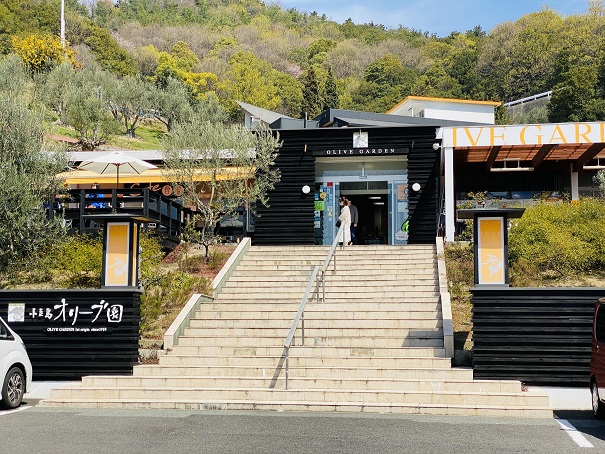 小豆島の小学生がオリーブの収穫体験加工後、学校給食に「育てている人にありがとう」香川