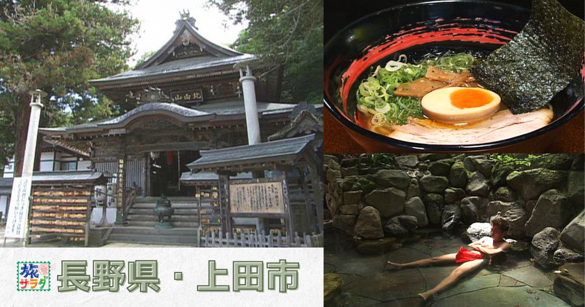 長野県の上田城では、四季折々の素敵な景色を楽しむことができます！│気ママパパ