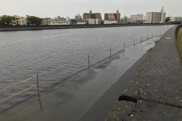神奈川の鶴見川河口でシーバス釣り 釣行記ツリラボ