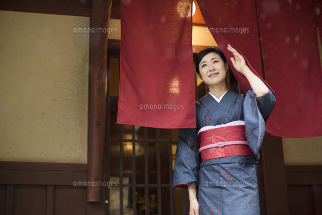 暖簾をくぐるような動作までしっかり再現された雰囲気満点のイントロが面白い SAKEICE のウェブサイト -
