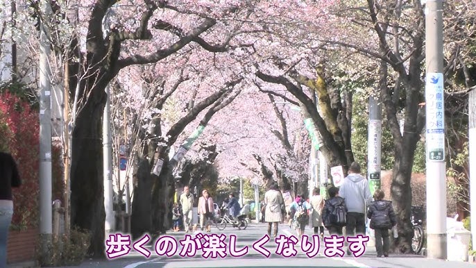高級住宅街の渋谷区大山町,西原を散歩 4K東京街歩き Japan