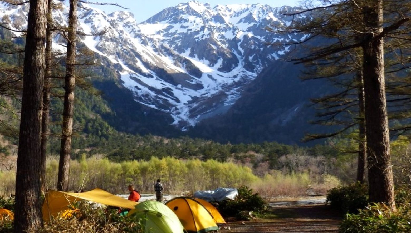 上高地の呼吸を感じる小梨平キャンプ場