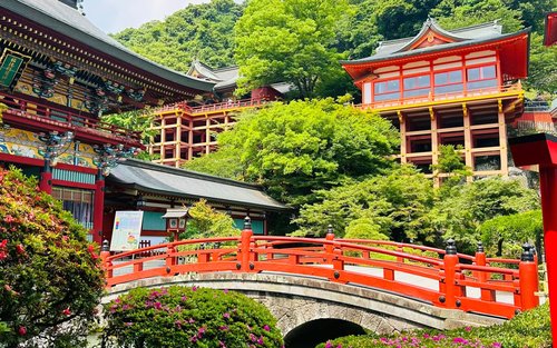 武雄温泉のかけ流し温泉が楽しめる旅館・宿 2025年最新 ゆこゆこ