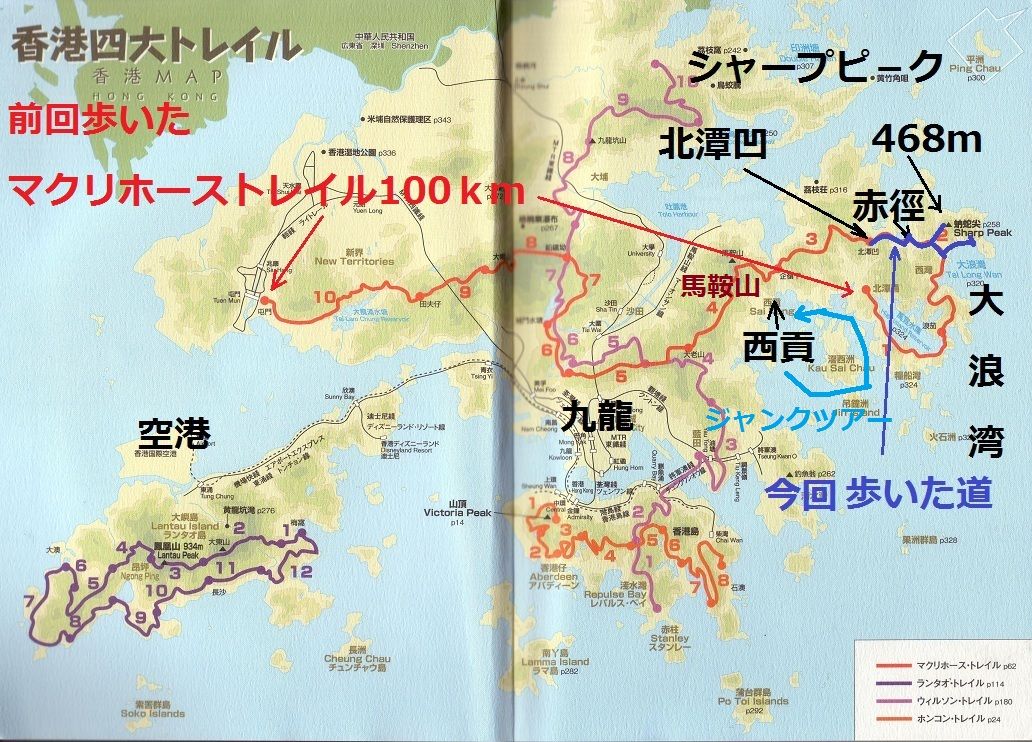 台湾や韓国とよく間違えられる「香港」とは？野田久美子のだくみこ