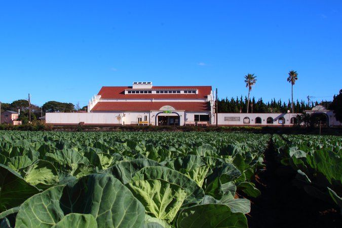 犬吠駅『運気アップ切符』 - ばくのメモ帳