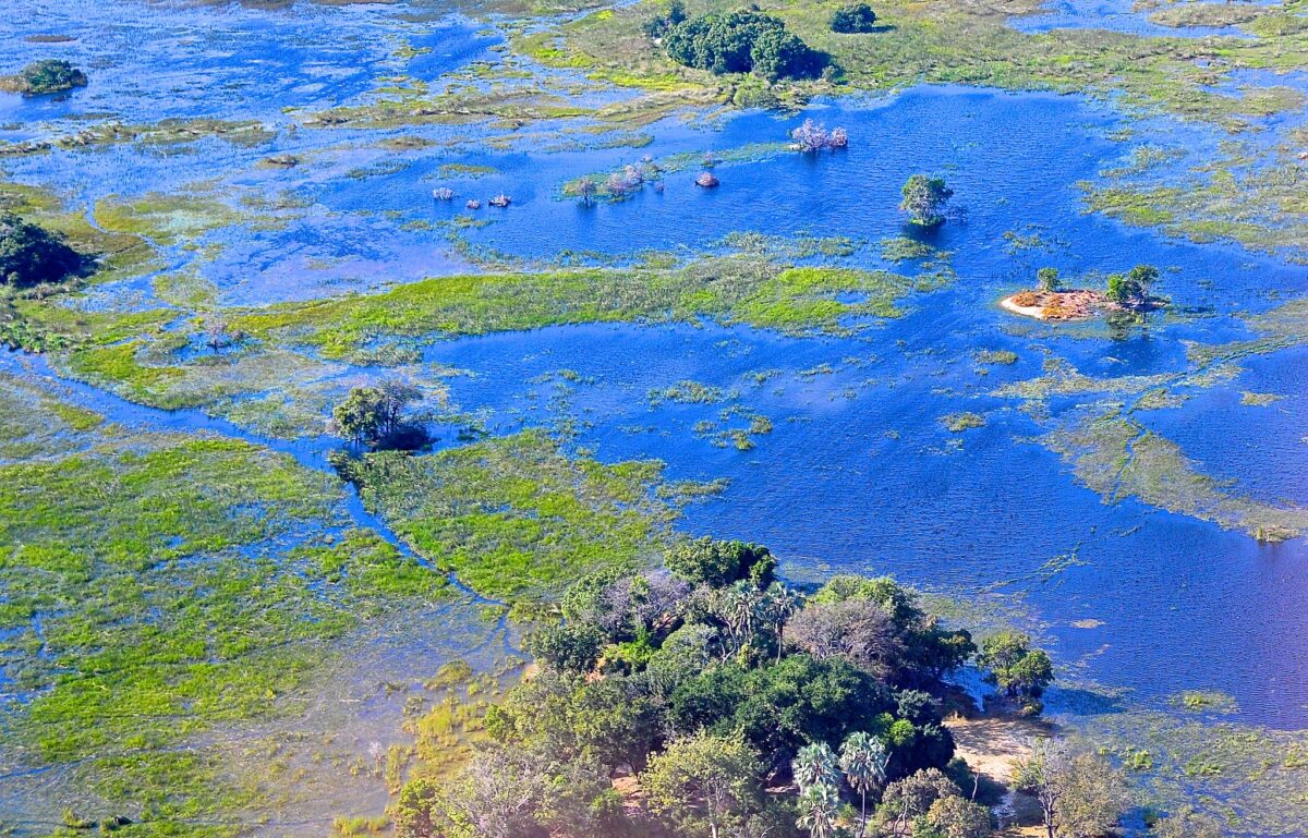 オカバンゴデルタ