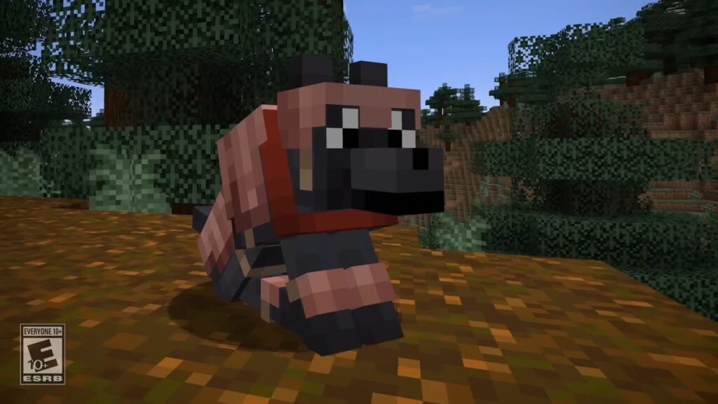 スイッチ マインクラフトを2人プレイ 画面分割 でやる方法ぽちこのゲームブログ