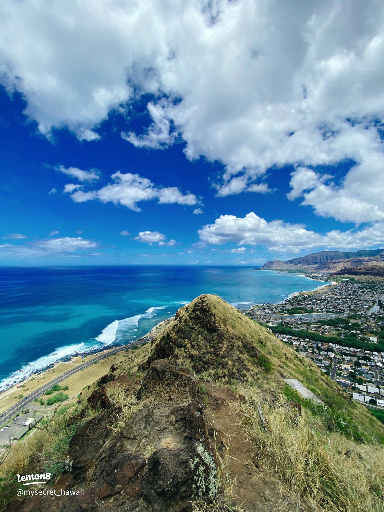 45分でオアフ島一周絶景観光！ ヘリコプターの遊覧飛行でハワイの観光名所を眼下に眺める新ツアーLeaLea Web