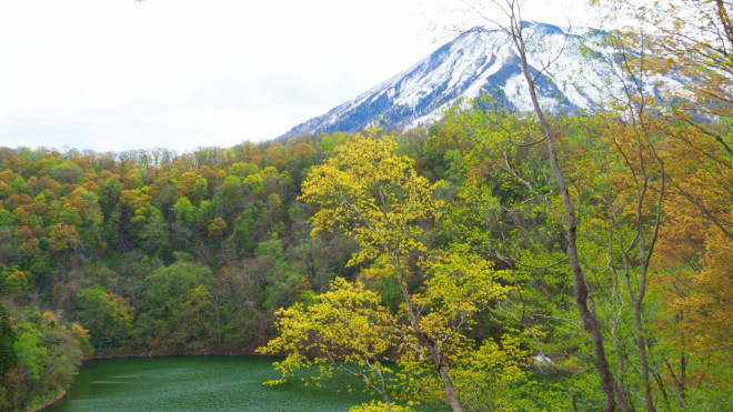 ニセコでアウトドア三昧 その１ 半月湖へトレッキング道草日記 旅・釣り・ワイン