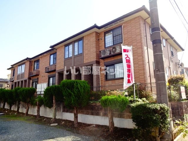 Amazon.co.jp: ベルファストDVD: ジュード・ヒル, カトリーナ・バルフ, ジェイミー・ドーナン,