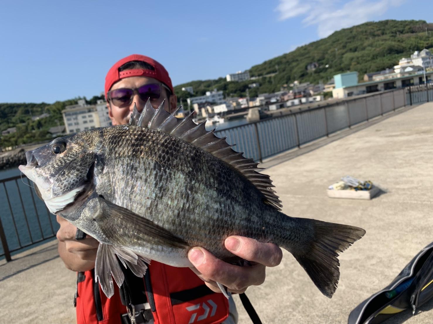 速報！ 吉良サンライズパークでいろいろな魚種釣れてます！釣具のイシグロ釣り情報サイト