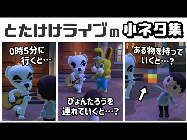 あつ森 自分の誕生日に とたけけが来なかった場合に「きみのたんじょうび」を入手する方法ジョニーの漂流日誌
