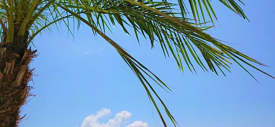 ハクバ マウンテンビーチHAKUBA MOUNTAIN BEACH-