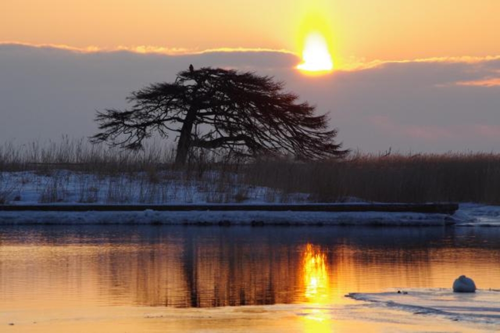 標茶駅周辺の観光スポットランキングTOP10 - じゃらんnet