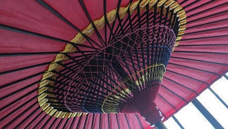 福岡・天神の女子会におすすめ！コスパ抜群＆おしゃれランチ特集2025 年のリアルなLemon8ユーザー体験