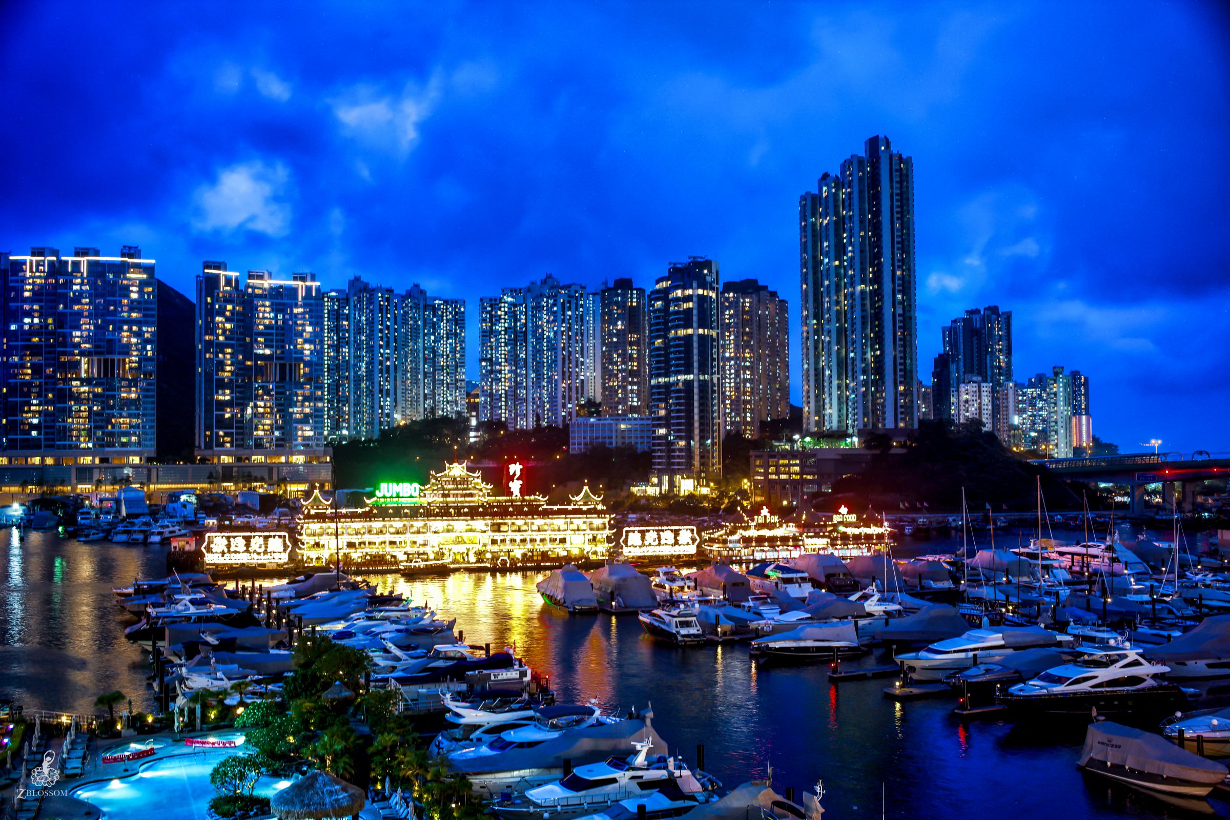 香港仔の漁村クルーズ アバディーン1773 日帰り観光ツアー 香港- KKday