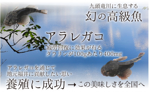 あられがこ出汁醤油セットふくいの恵み認定商品 お土産福いろ福井市公式観光サイト 名所 グルメ お土産