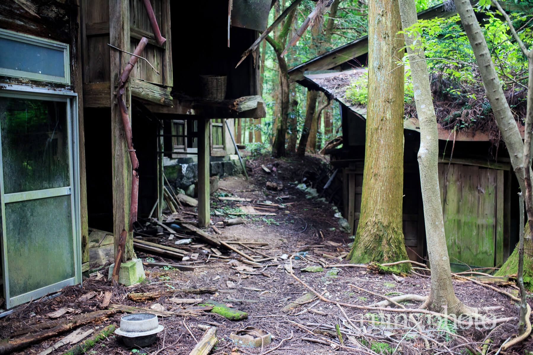 恐怖リサーチ 埼玉県某所で語り継がれる「病んだ院長が埋め立てた」心霊病棟アサ芸プラス
