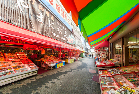 東尋坊はおもしろい!2日間観光して見つけたおすすめ周辺スポットも紹介