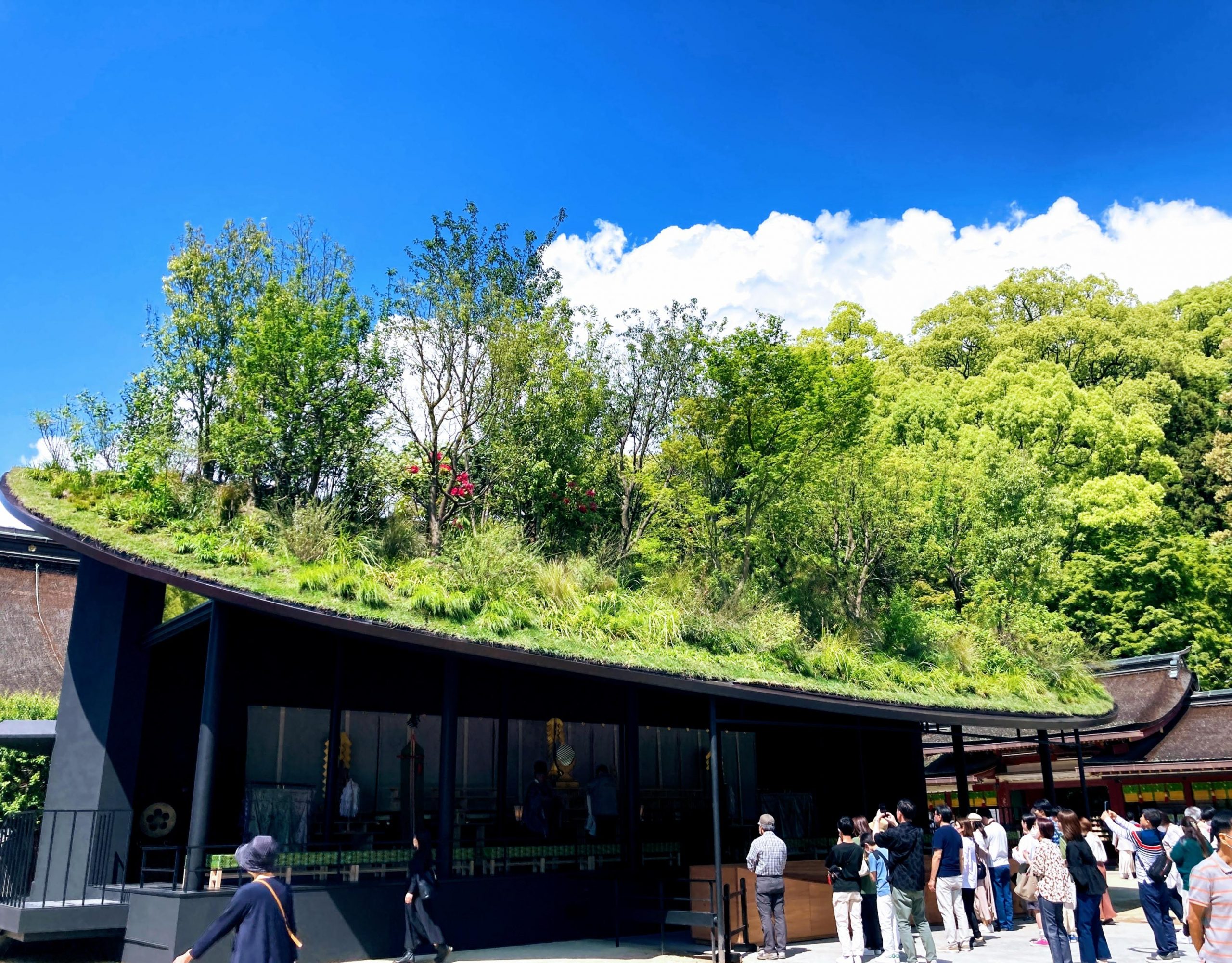 藤本壮介展―太宰府天満宮仮殿の軌跡― – 境内美術館太宰府天満宮