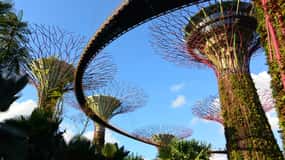 2025最新！シンガポール ガーデンズバイザベイの割引チケットや行き方は？ 見どころ・所要時間まとめ 楽天トラベル観光体験RakutenTravel Experiences