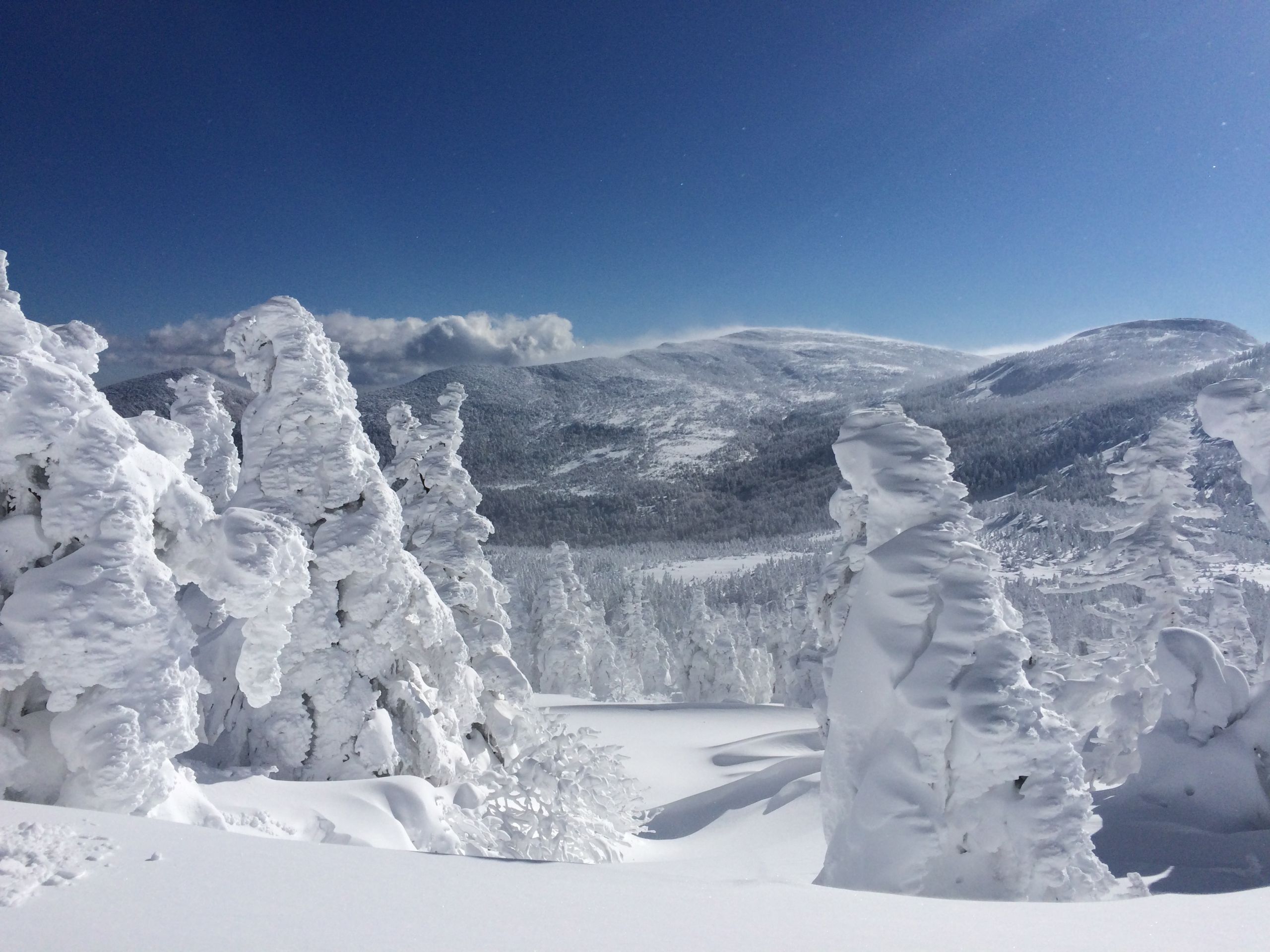 一生に一度は見たい、東北の冬の絶景を紹介！雪国ならではの自然の芸術を楽しもうびゅうトラベル JR東日本
