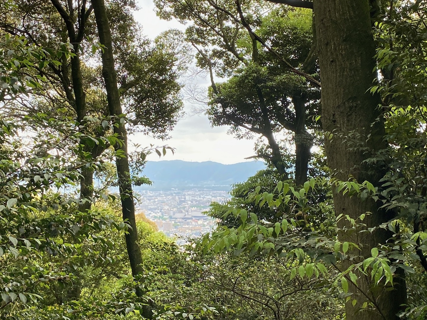 ガラスの茶室』将軍塚に女ひとり徒歩で登りました！日本一わかりやすい行き方徒歩ルート 登りルート編 京都女一人旅。 - 航海士の妻になってみた