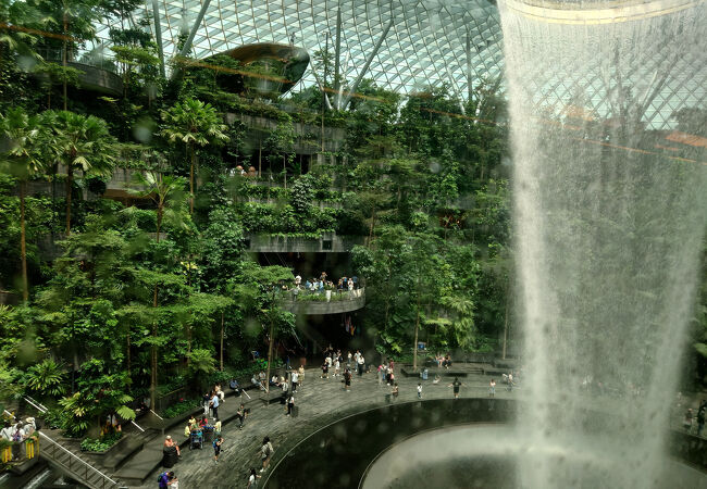 ジュエル・チャンギ空港 攻略ガイド 行き方・営業時間・混雑状況・チケットなどFu