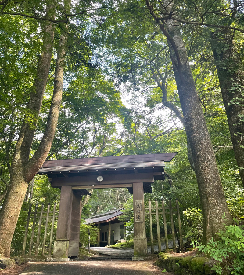 旧軽から碓氷峠を登って見晴台と熊野皇大神社へ: 歴史の旅＆外出の記録