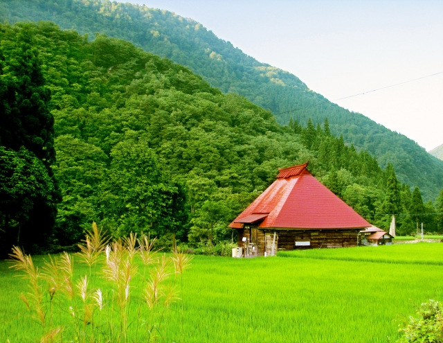 田舎暮らしのメリット・デメリットは？現地での仕事や失敗事例も紹介 - Lnote エルノートPresented