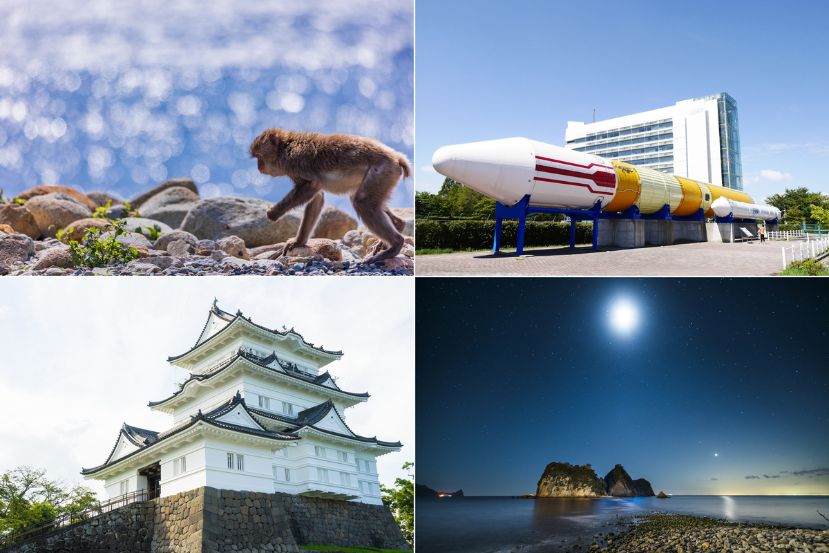 関東で1番早く春を感じる場所 , , 関東近郊の日帰りでも行けるドライブスポットやドライブルートを投稿しています☺︎,