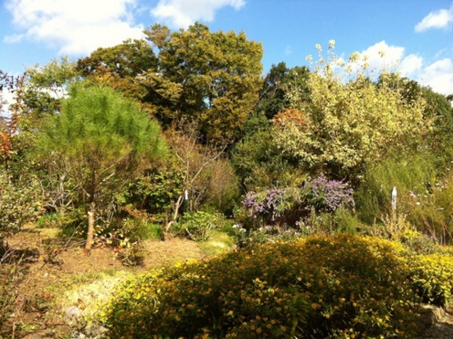 法華原華庭園福岡県うきは市吉井町御朱印散歩覚書