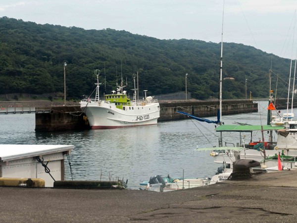 宮崎市 青い空ときらめく海！開放的な南国の風景は「道の駅フェニックス」で満喫できます！ ぶらうん- エキスパート -