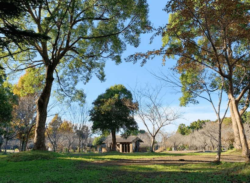 都心からもアクセス良好 千葉県で予約不要 当日予約も可 のキャンプ場7選東京キャンパーのブログ