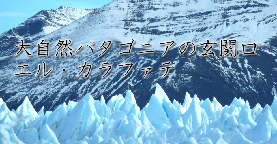 2024 05最新 エル・カラファテからペリト・モレノ氷河への行き方・園内の回り方 -