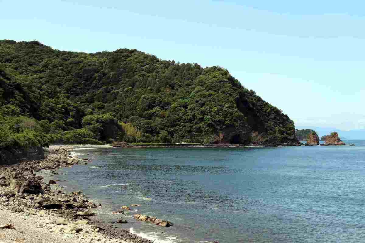 伊豆のシュノーケリング子連れ・初心者も楽しいスポット２５選NPO パパラギ“海と自然の教室”