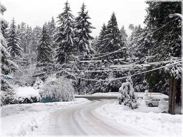 カナダの気候を都市別に比較！カナダ留学に適した都市は？カナダ無料留学エージェントならラララカナダ