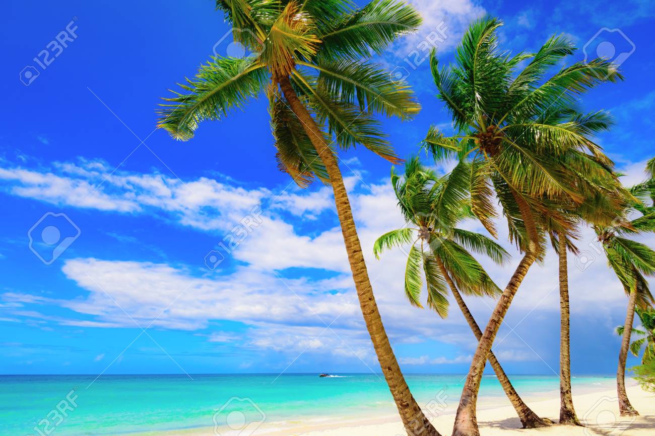 脱出ゲーム カリブの島からの脱出ゲーム攻略iPhoroid│脱出ゲーム攻略！国内最大の脱出ゲーム総合サイト