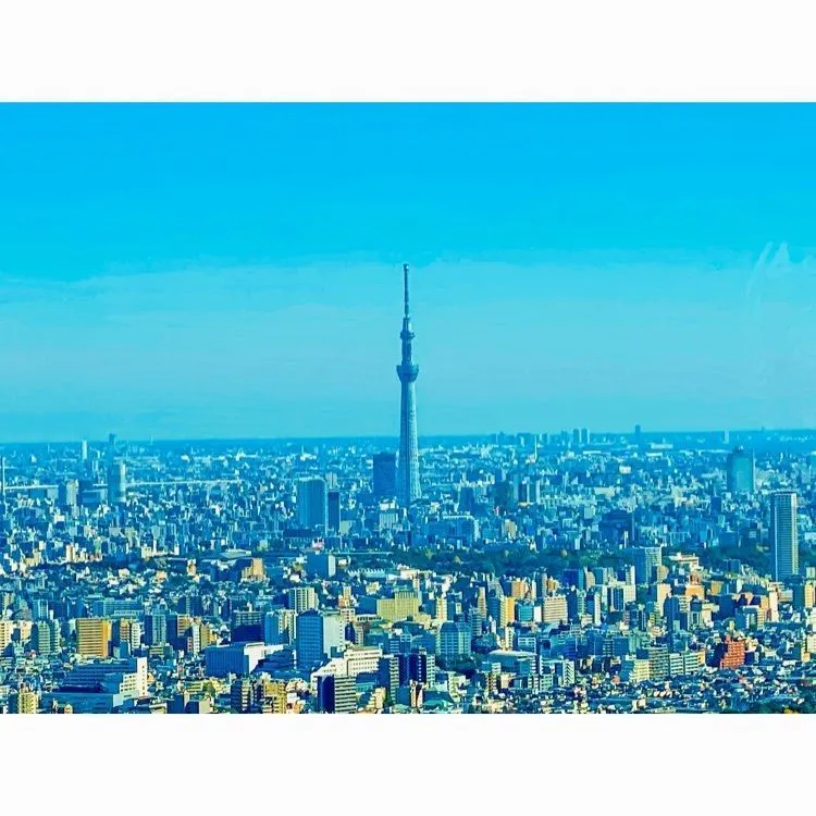 宝石を散りばめたような大都会の夜景を見よう！東京の人気スポット5選 – skyticket 観光ガイド