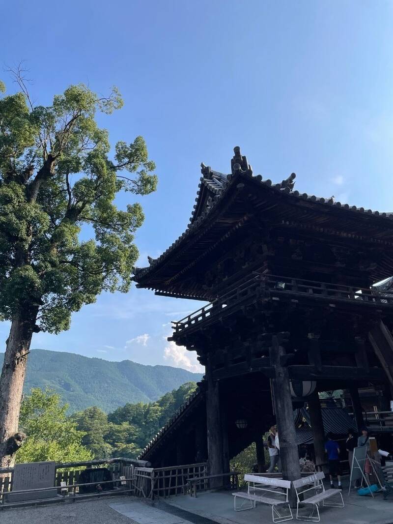 399段の階段を登って本堂へ、奈良県「長谷寺」の見どころ - 日本の観光メディアMATCHA