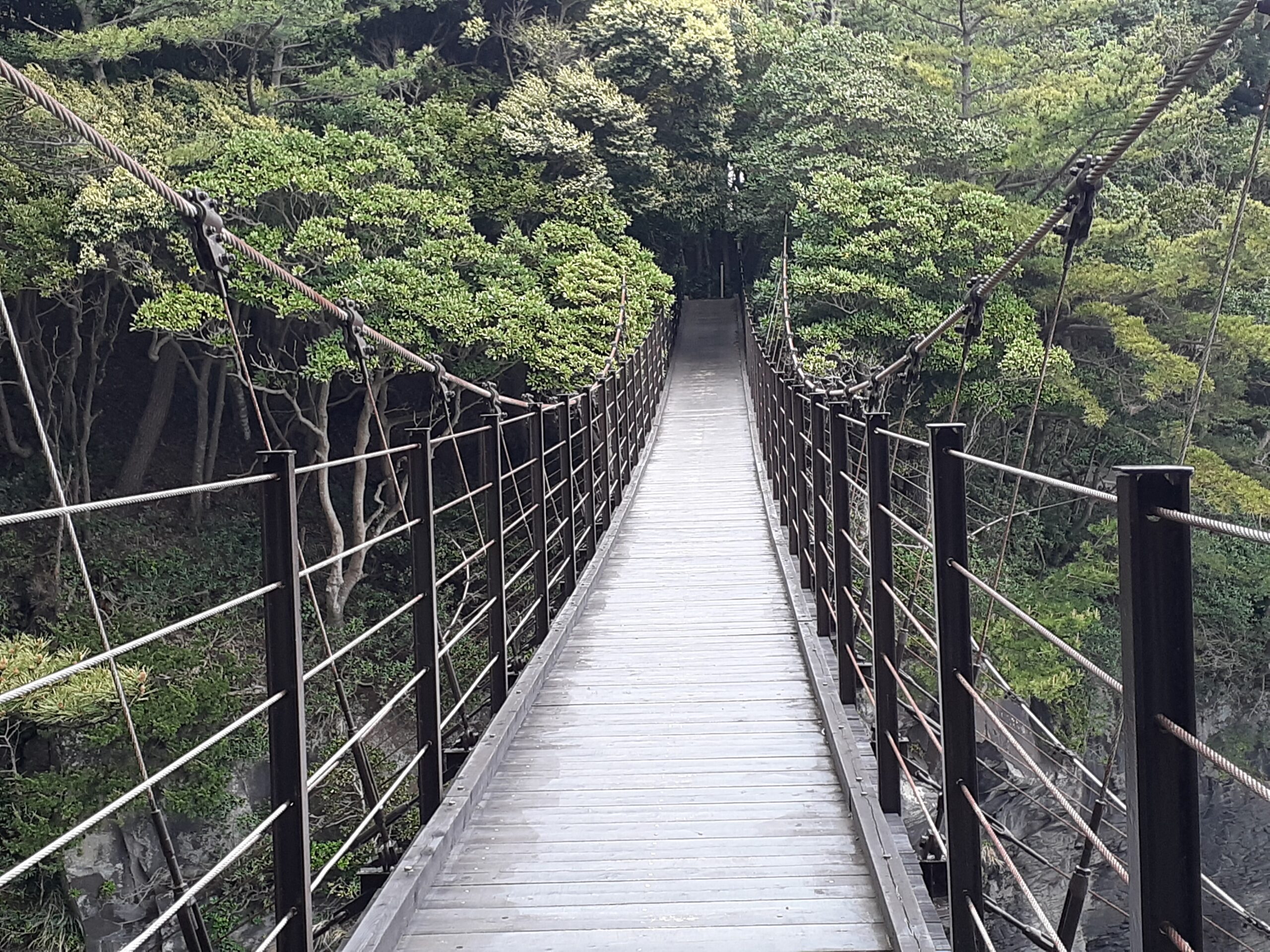 橋立つり橋 アクセス・営業時間・料金情報 - じゃらんnet